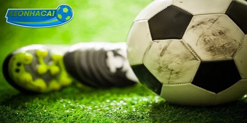 Thông tin về bẫy nhà cái thường gặp