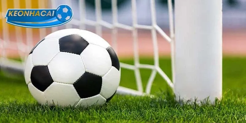 Nắm bắt cách tránh bẫy nhà cái thường gặp hiệu quả