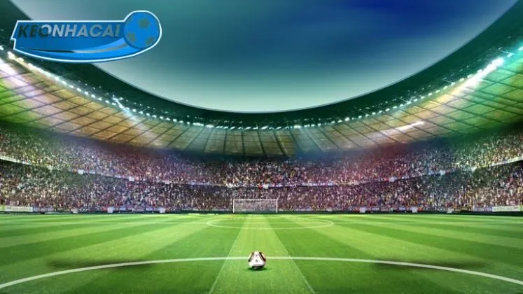 Theo dõi sát sao biến động chọn thời điểm đặt cược hợp lý