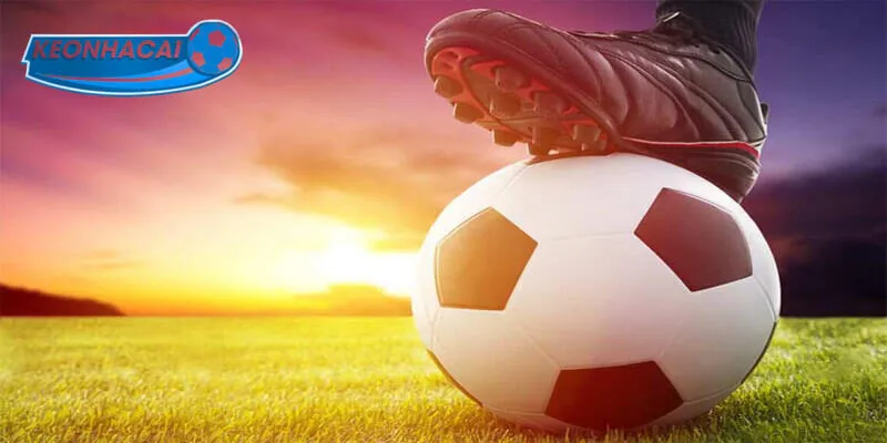 Tìm hiểu cách đọc của kèo chấp nửa trái 