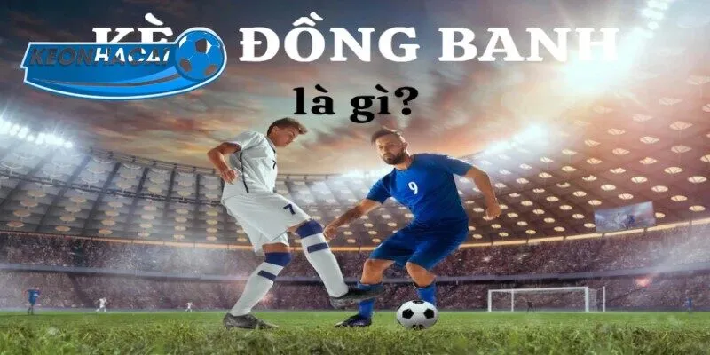 Giới thiệu về kèo đồng banh