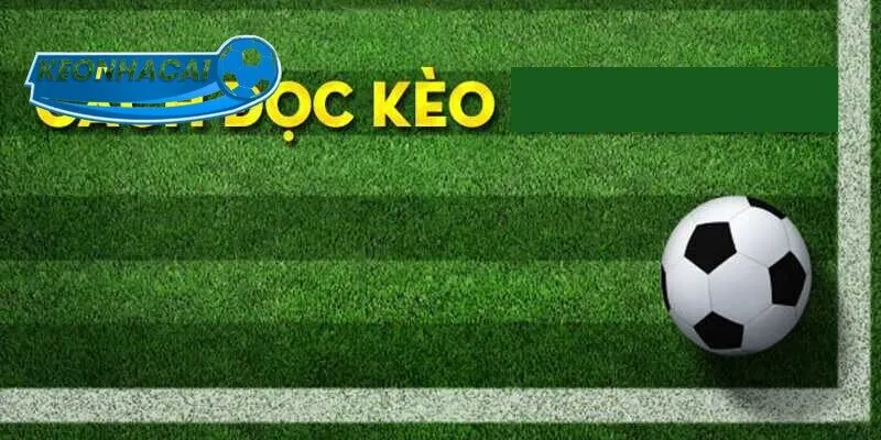 Cách đọc kèo đồng banh Kèo nhà cái