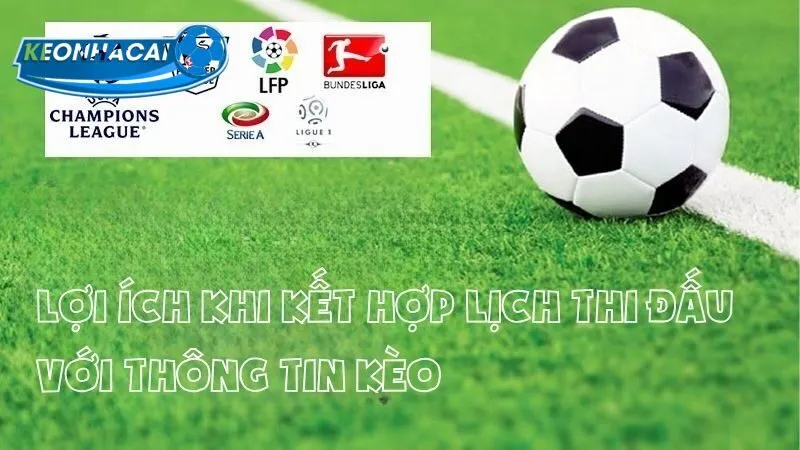 Nên cập nhật thường xuyên Lịch thi đấu