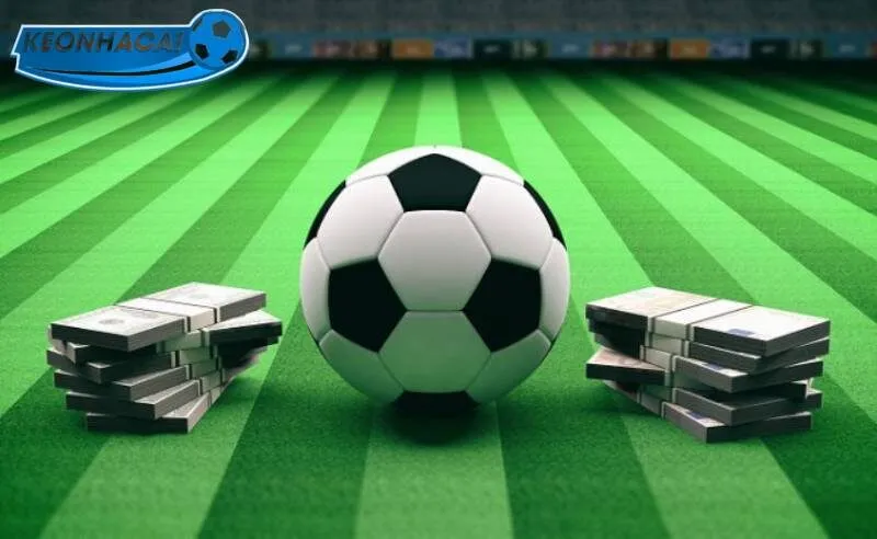 Giới thiệu về live soccer today