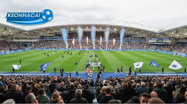 Brighton ăn mừng bàn thắng trong một trận đấu tại sân Amex.